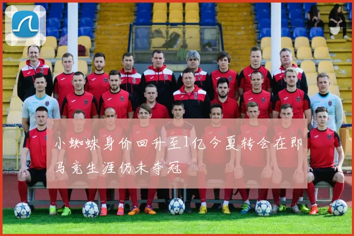 小蜘蛛身价回升至1亿今夏转会在即马竞生涯仍未夺冠