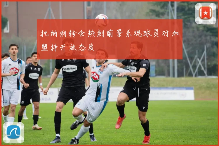 托纳利转会热刺前景乐观球员对加盟持开放态度